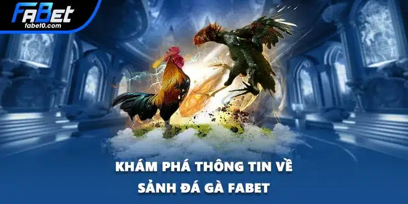 Khám phá thông tin về sảnh đá gà FABET
