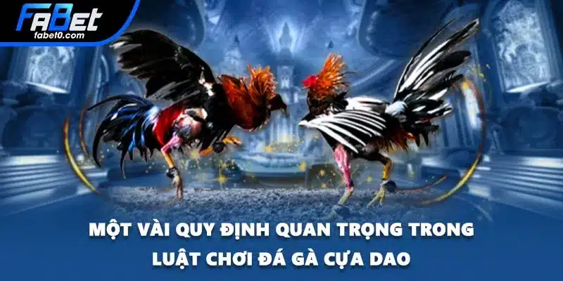 Một vài quy định quan trọng trong luật chơi đá gà cựa dao