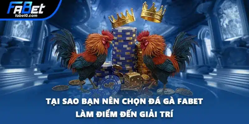 Tại sao bạn nên chọn đá gà FABET làm điểm đến giải trí